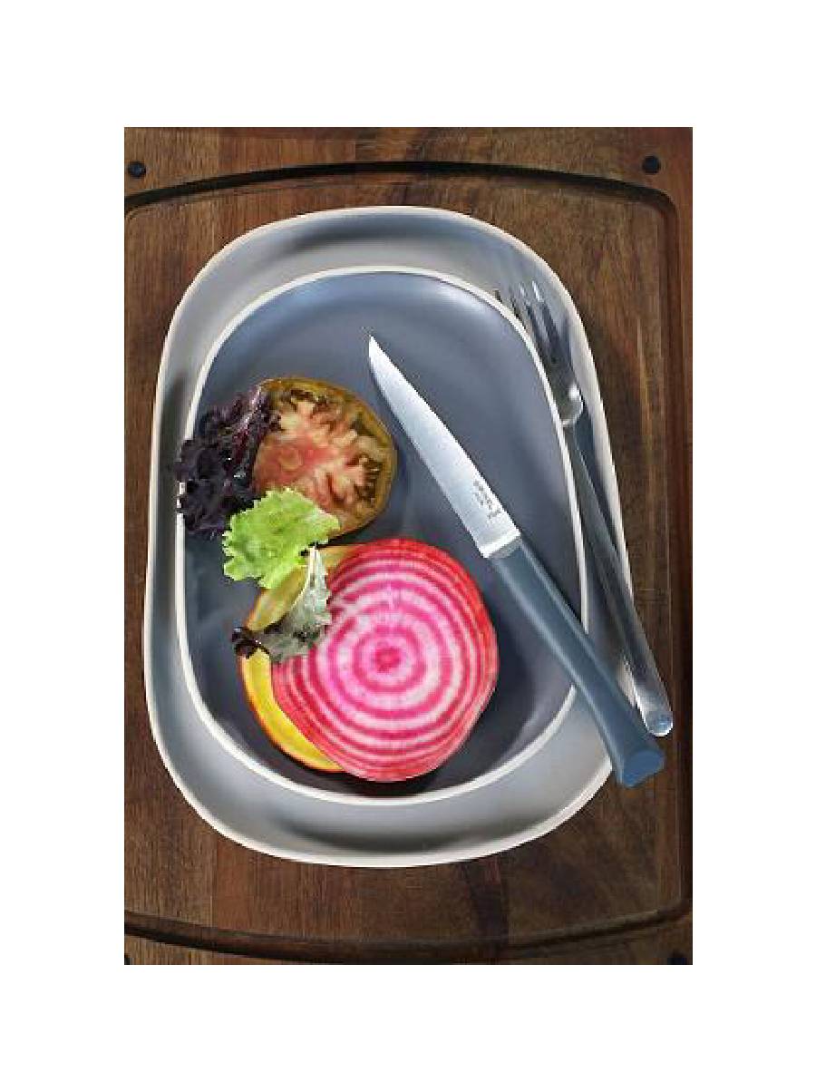 Opinel Bon Appetit Μαχαίρια Φαγητού Σε Διάφορα Χρώματα Opinel Bon Appetit Μαχαίρια Φαγητού Σε Διάφορα Χρώματα